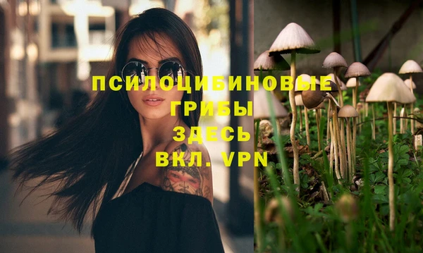 мдма Новозыбков