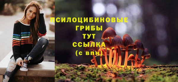 винт Новодвинск
