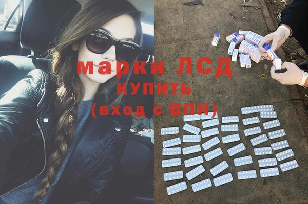 мдма Новозыбков