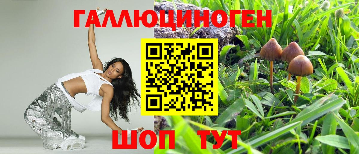 Арсеньев  Псилоцибиновые грибы MAGIC MUSHROOMS  купить  сайты  Вход с VPN 