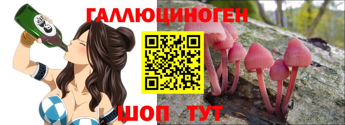 Псилоцибиновые грибы Psilocybe Арсеньев