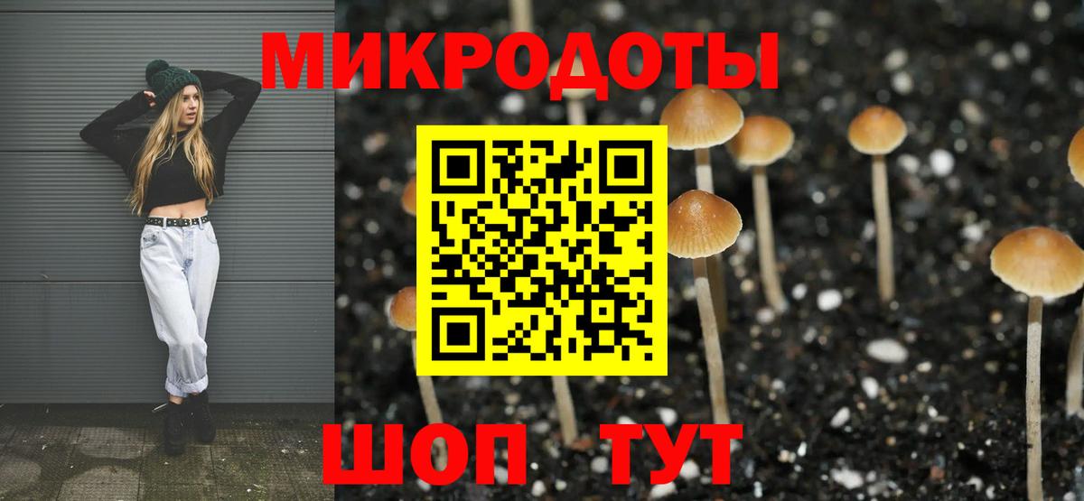 Галлюциногенные грибы GOLDEN TEACHER Арсеньев